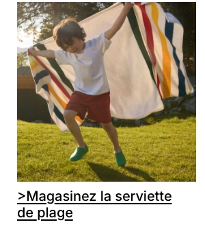 Magasinez la serviette de plage